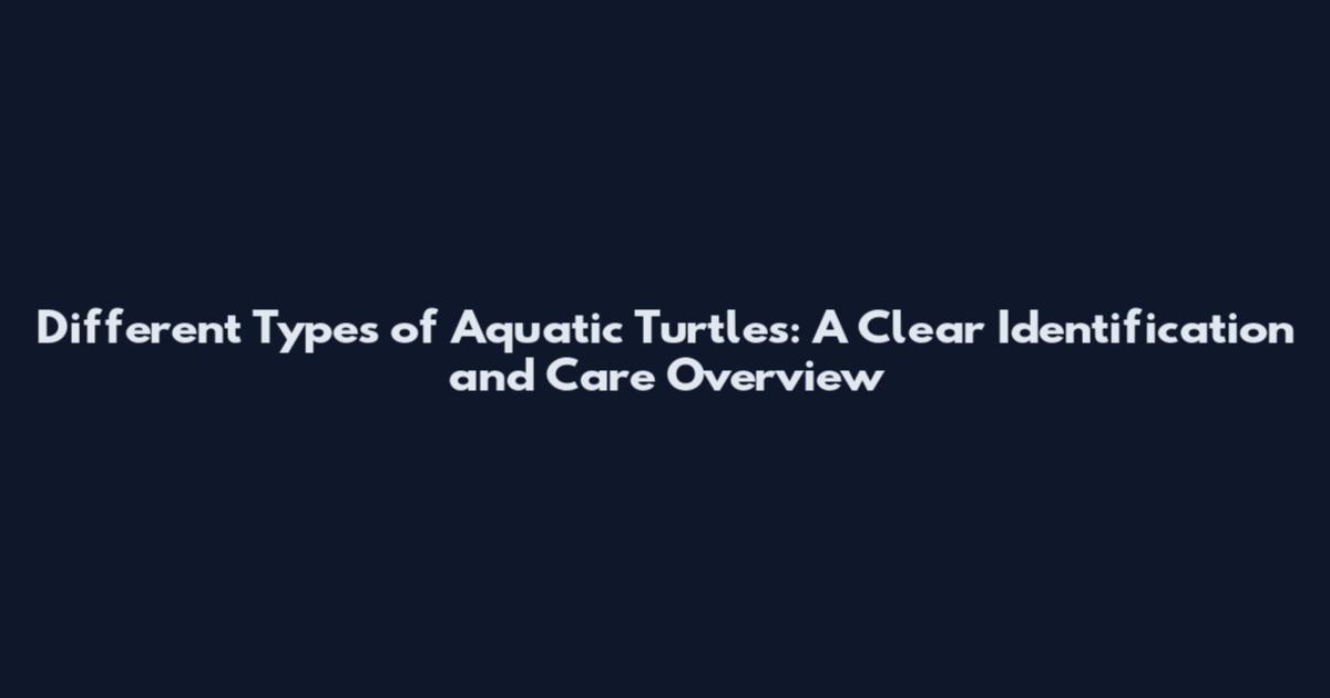 Different Types of Aquatic Turtles: A Clear Identification and Care Overview
