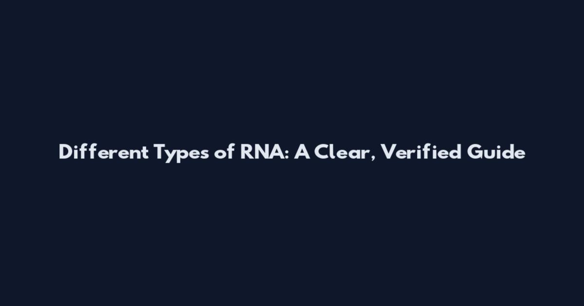 Different Types of RNA: A Clear, Verified Guide