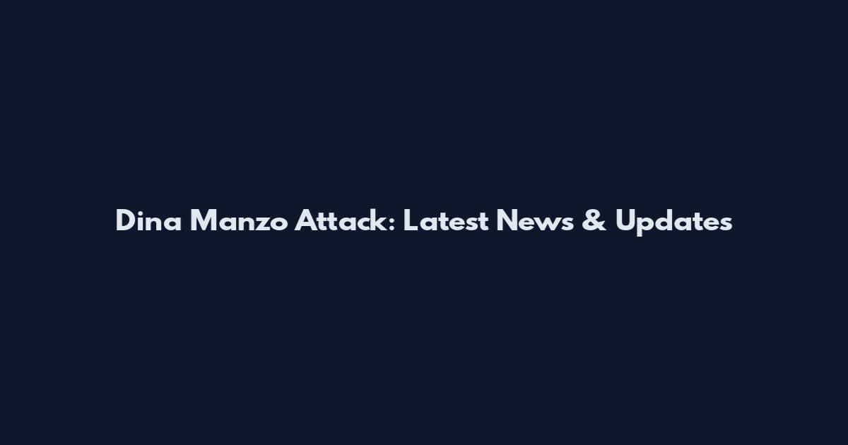 Dina Manzo Attack: Latest News & Updates