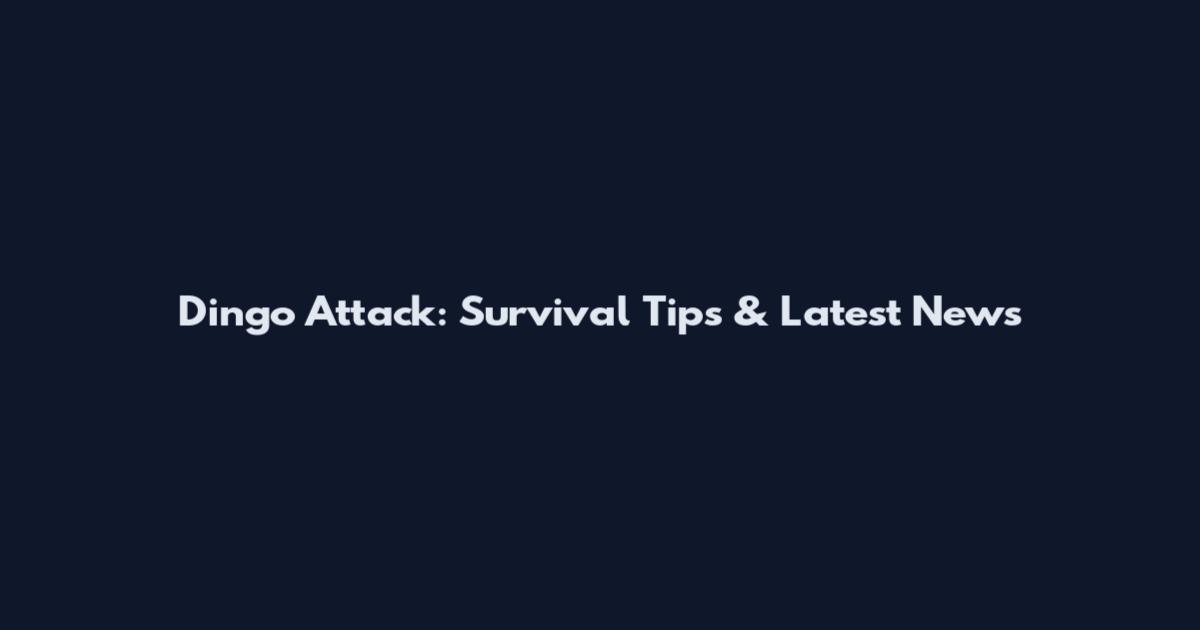 Dingo Attack: Survival Tips & Latest News