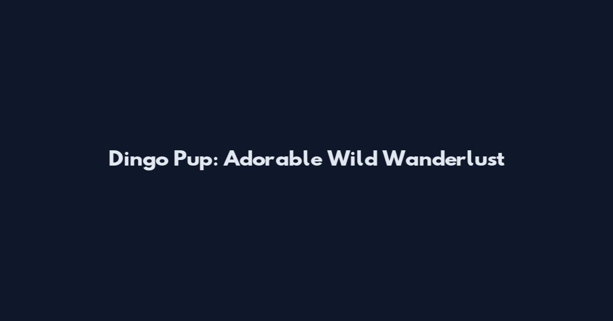 Dingo Pup: Adorable Wild Wanderlust