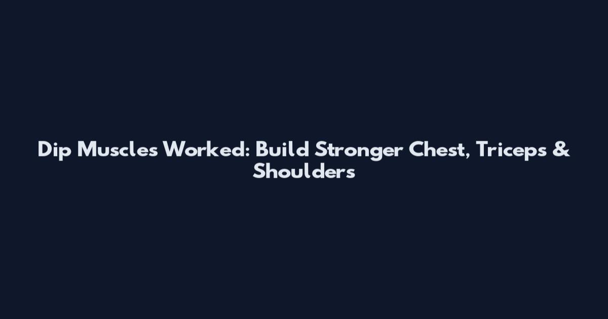 Dip Muscles Worked: Build Stronger Chest, Triceps & Shoulders