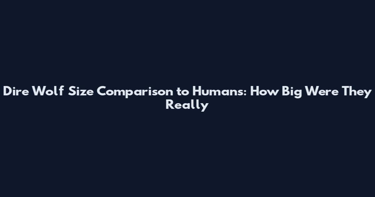 Dire Wolf Size Comparison to Humans: How Big Were They Really