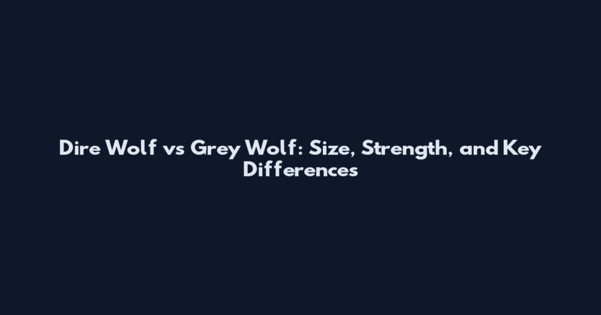 Dire Wolf vs Grey Wolf: Size, Strength, and Key Differences