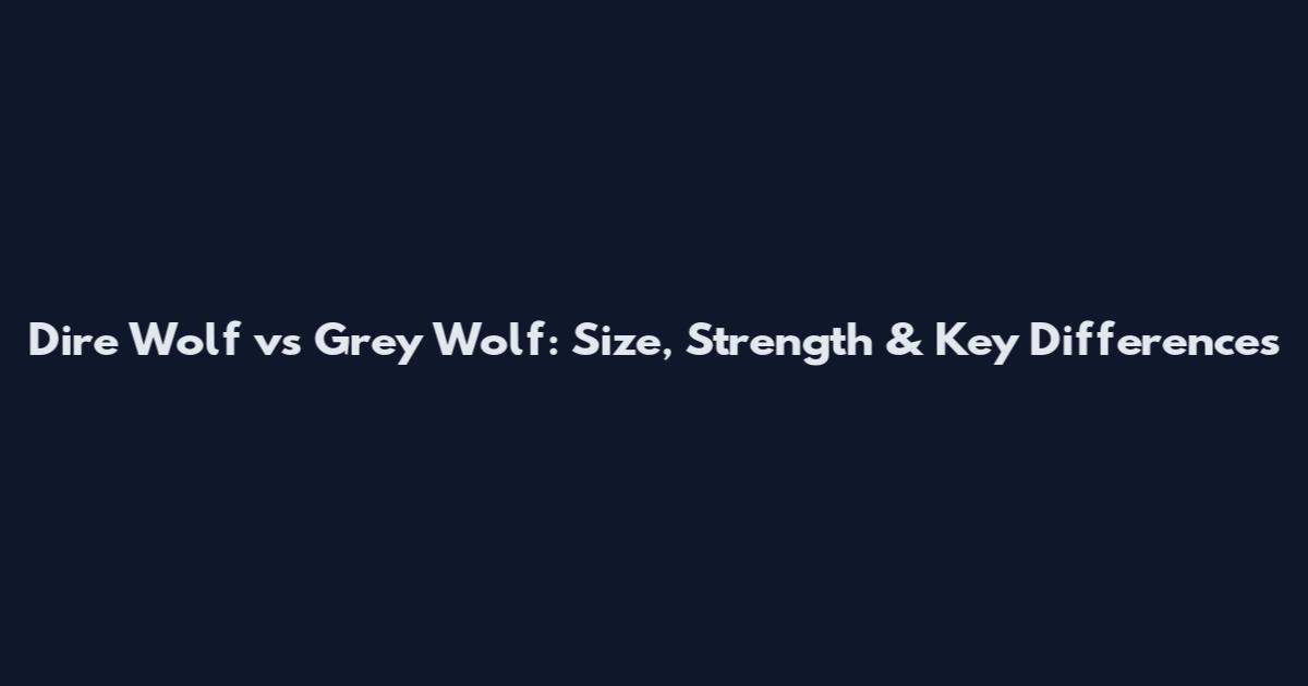 Dire Wolf vs Grey Wolf: Size, Strength & Key Differences