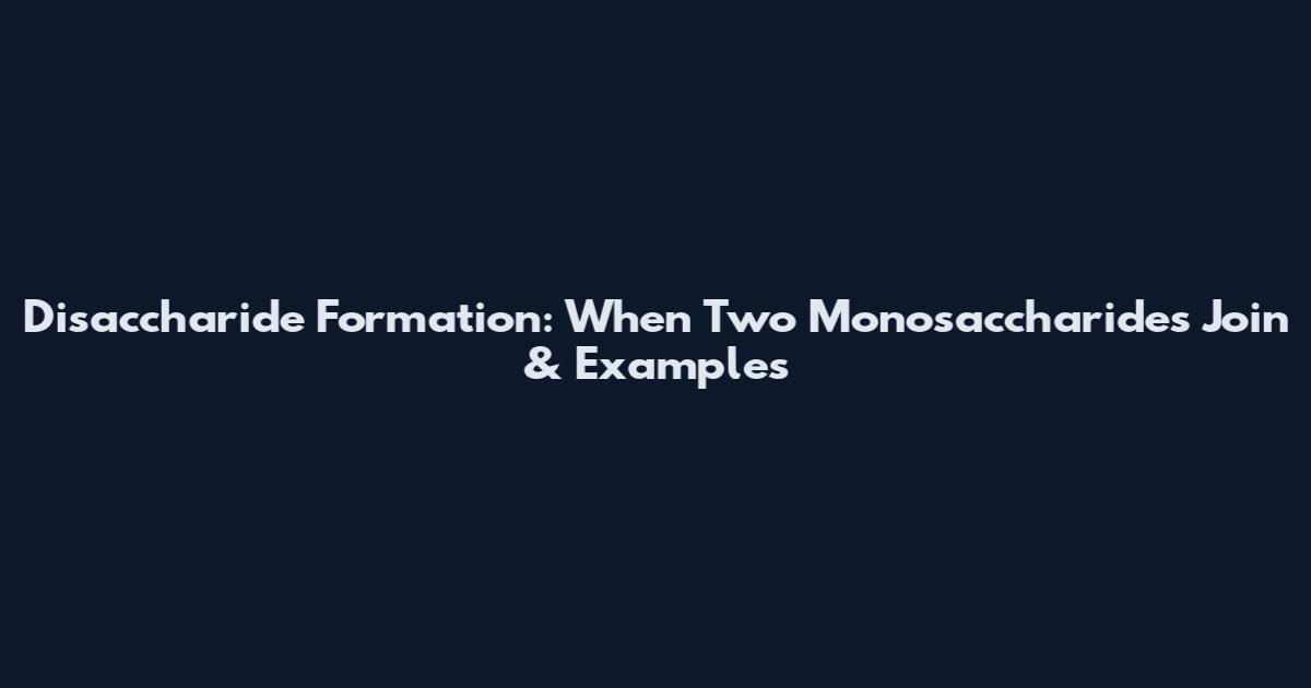 Disaccharide Formation: When Two Monosaccharides Join & Examples