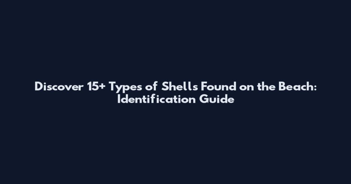 Discover 15+ Types of Shells Found on the Beach: Identification Guide