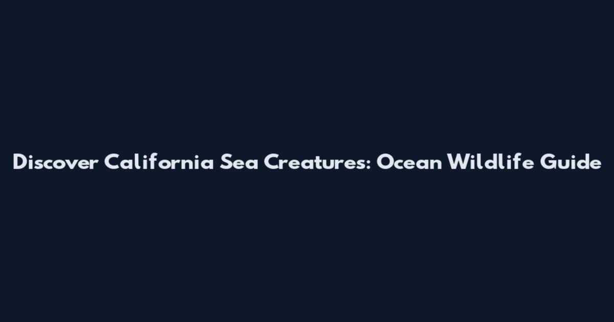 Discover California Sea Creatures: Ocean Wildlife Guide