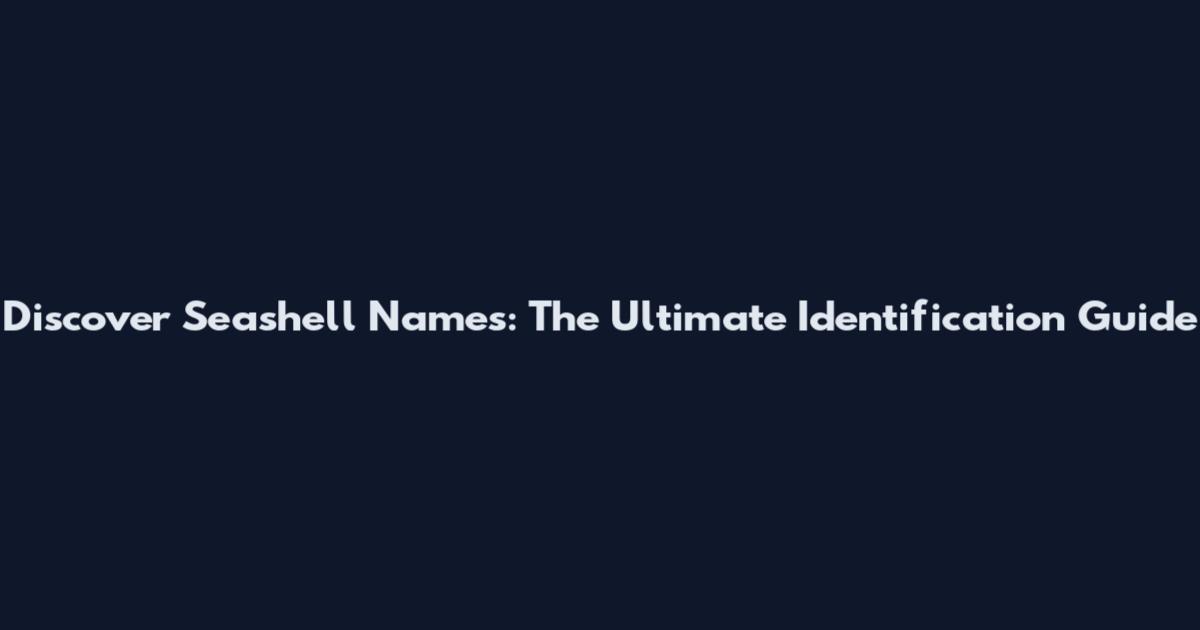 Discover Seashell Names: The Ultimate Identification Guide