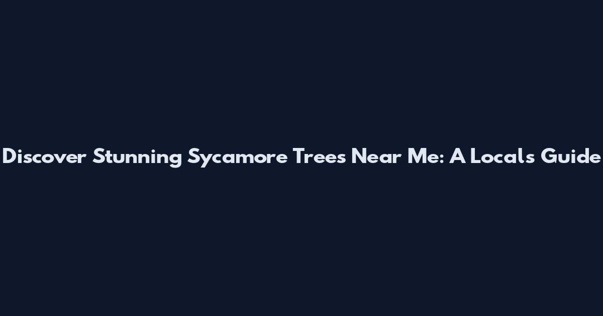 Discover Stunning Sycamore Trees Near Me: A Local's Guide