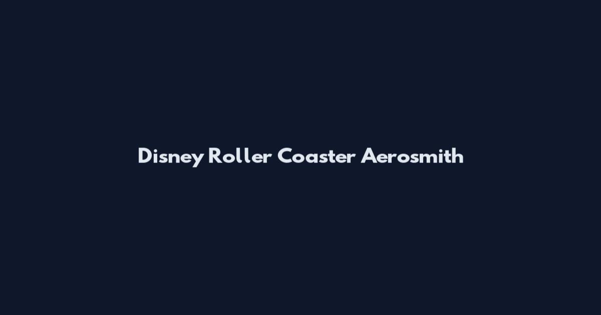 Disney Roller Coaster Aerosmith