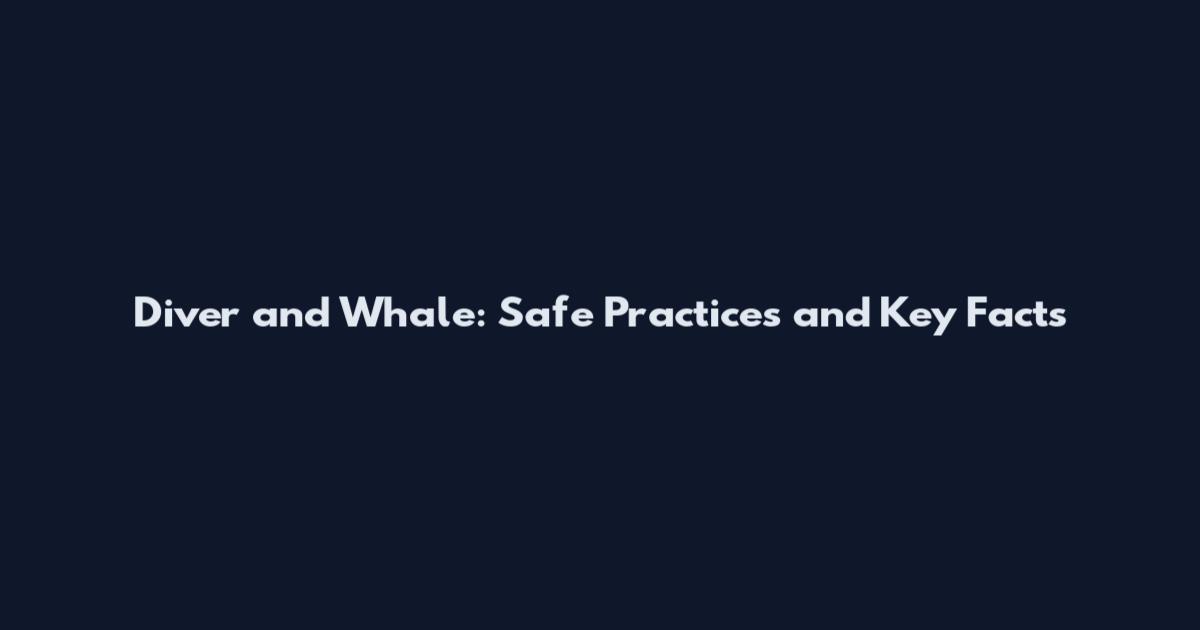 Diver and Whale: Safe Practices and Key Facts