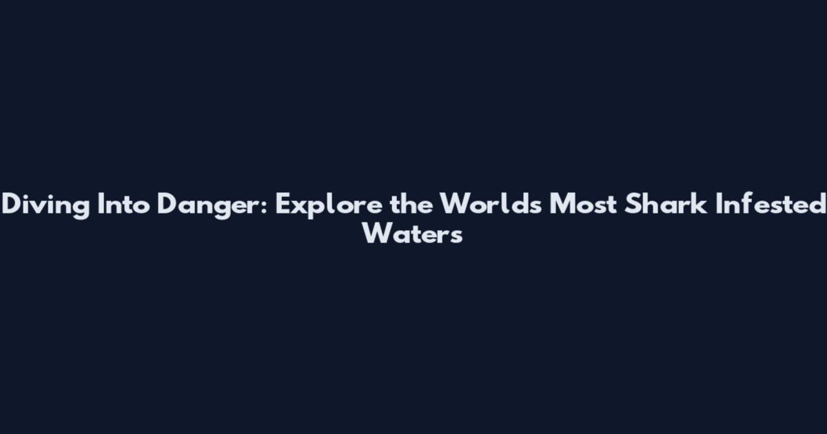Diving Into Danger: Explore the World's Most Shark Infested Waters