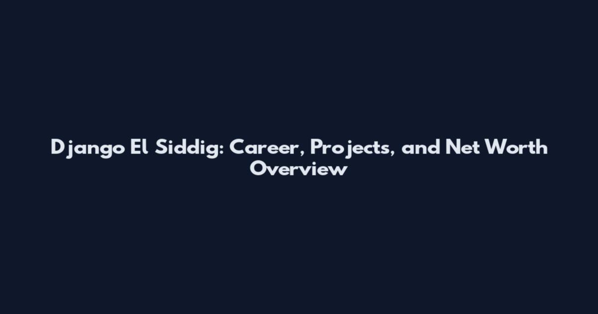 Django El Siddig: Career, Projects, and Net Worth Overview