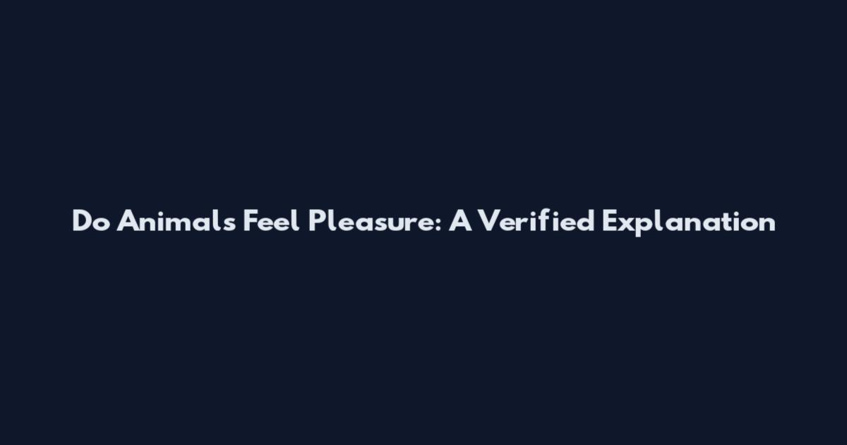 Do Animals Feel Pleasure: A Verified Explanation