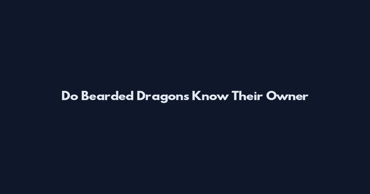 Do Bearded Dragons Know Their Owner
