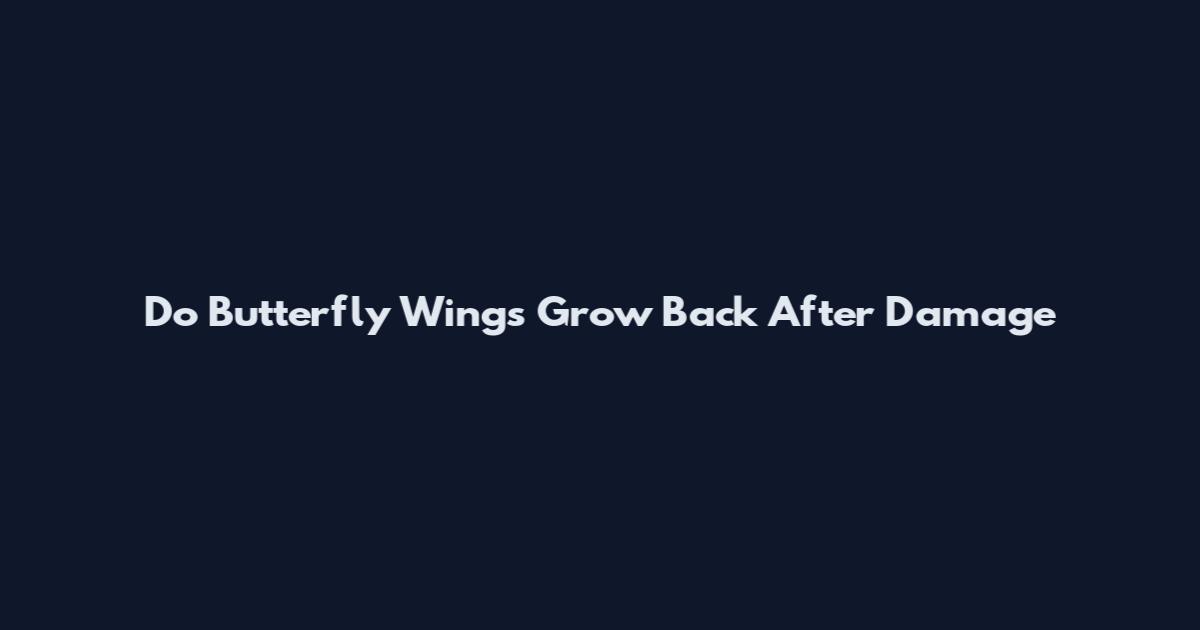 Do Butterfly Wings Grow Back After Damage