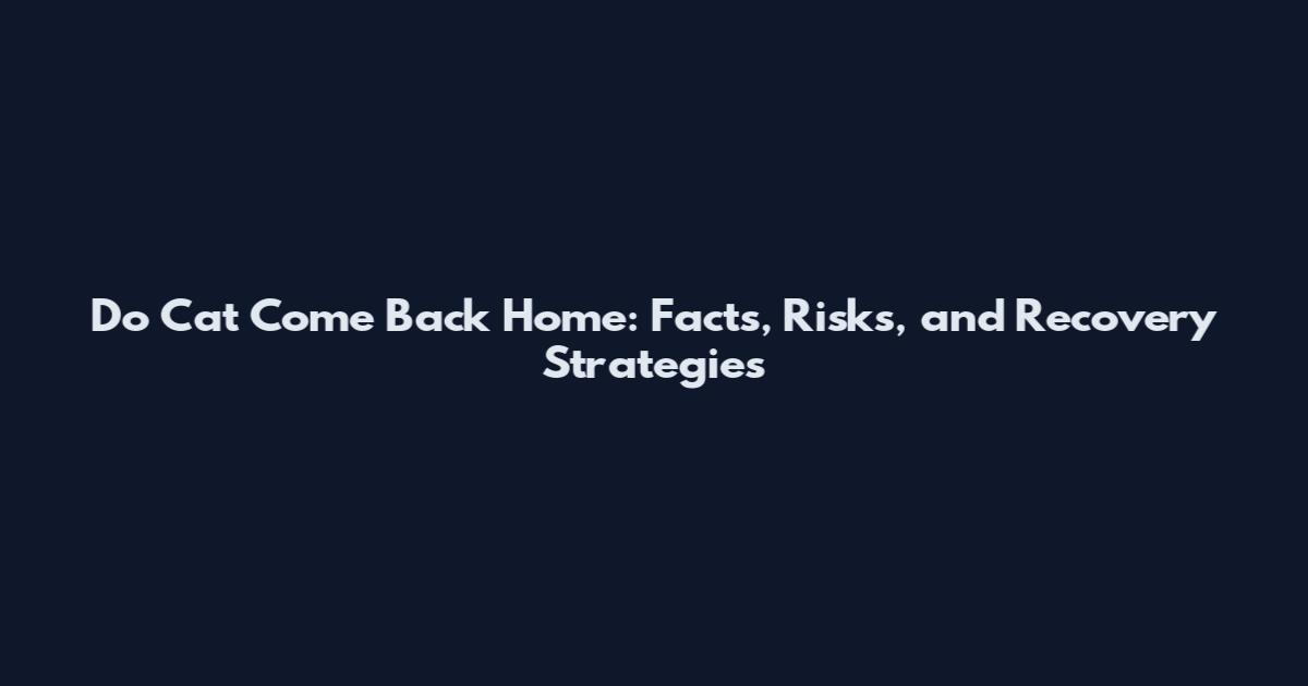 Do Cat Come Back Home: Facts, Risks, and Recovery Strategies