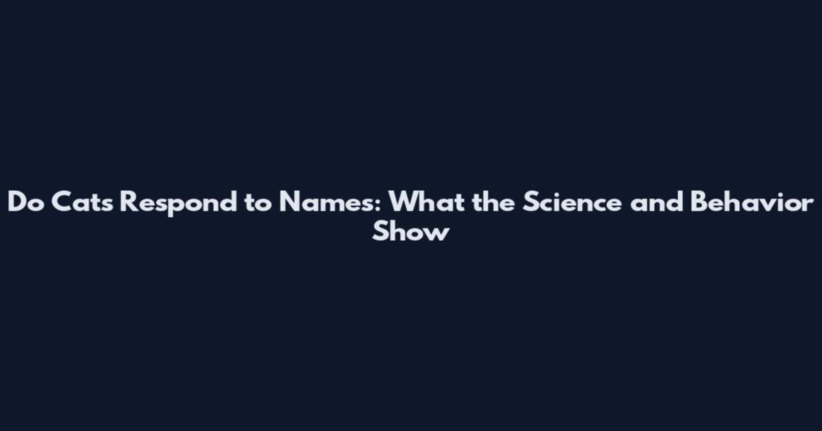 Do Cats Respond to Names: What the Science and Behavior Show
