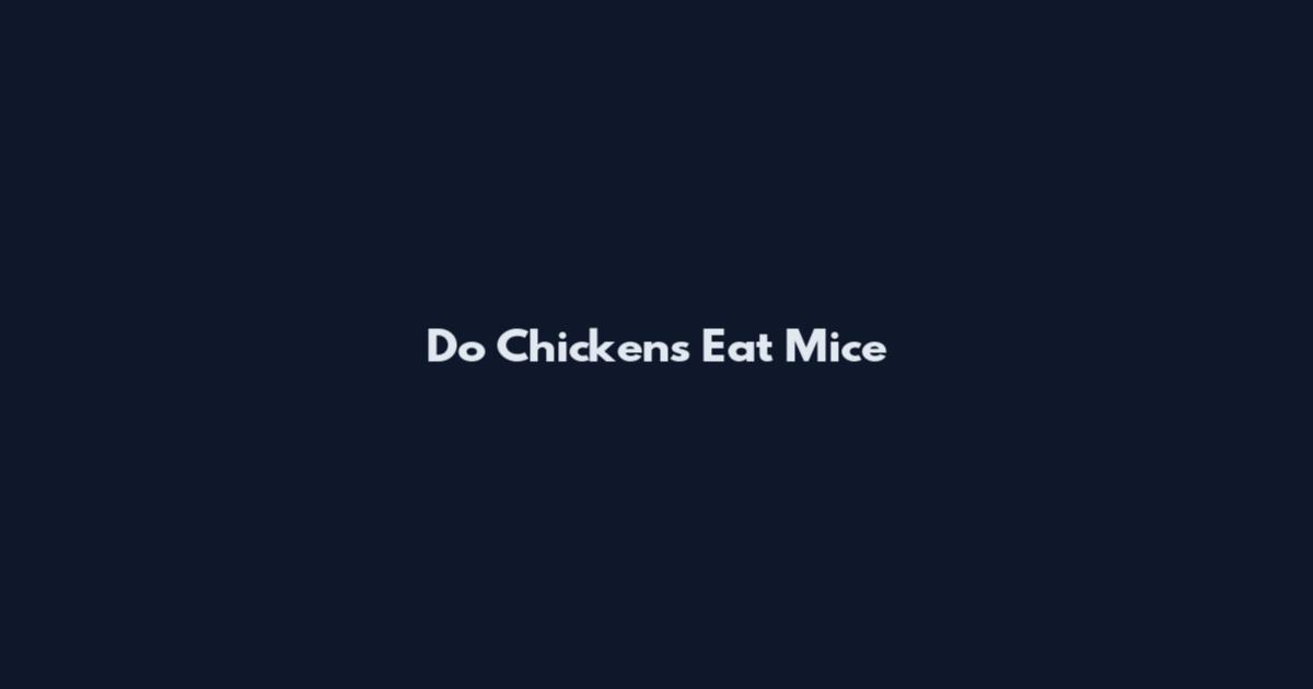 Do Chickens Eat Mice
