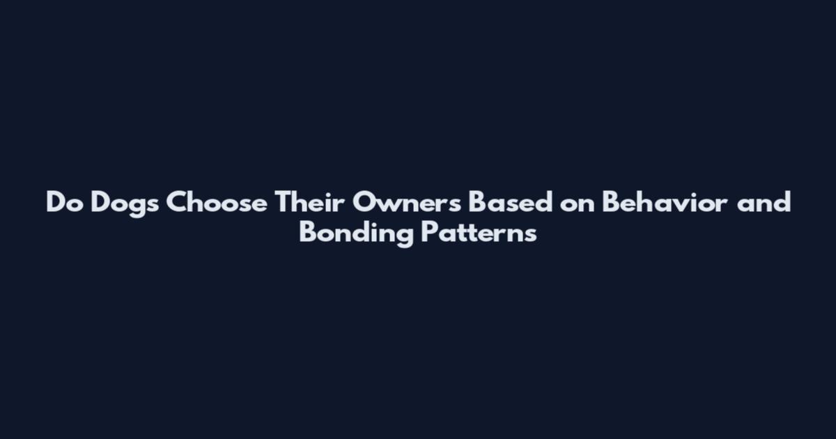 Do Dogs Choose Their Owners Based on Behavior and Bonding Patterns