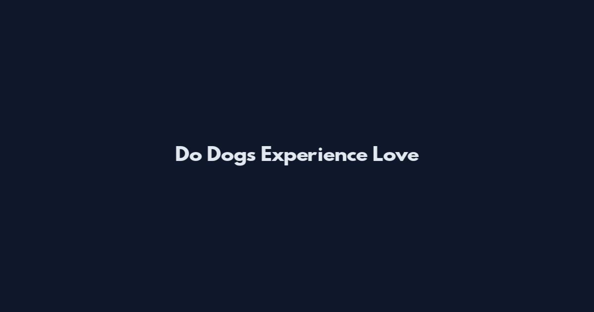Do Dogs Experience Love