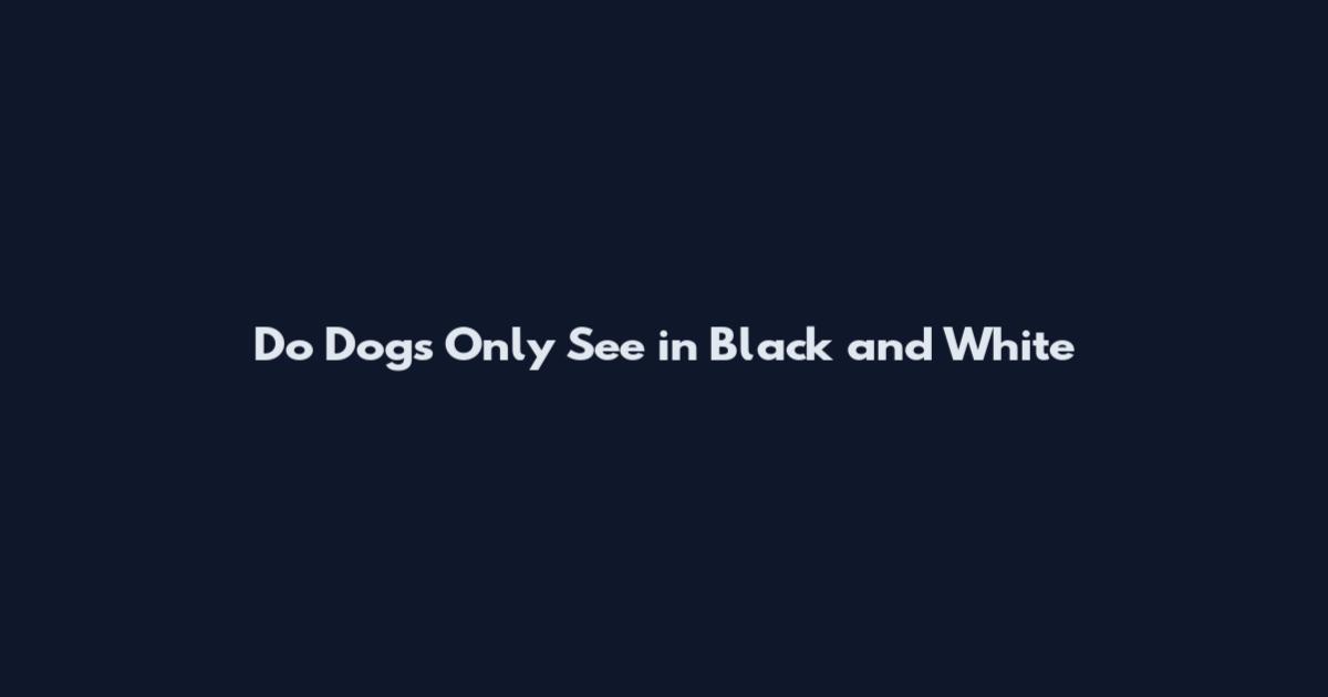 Do Dogs Only See in Black and White