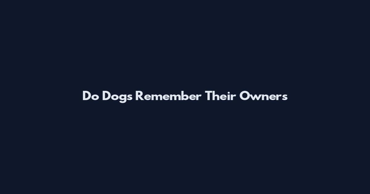 Do Dogs Remember Their Owners