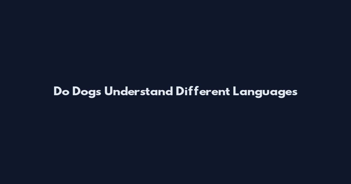 Do Dogs Understand Different Languages