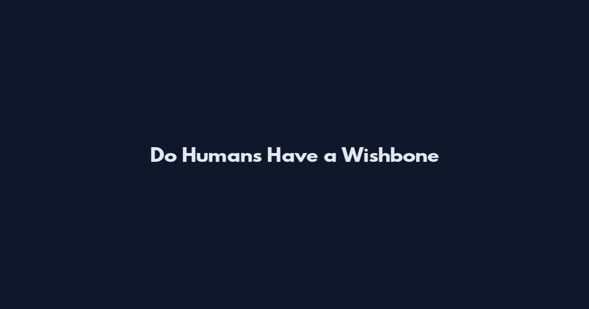 Do Humans Have a Wishbone