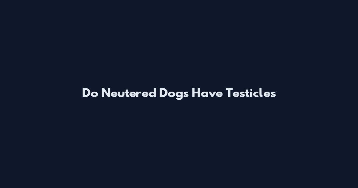 Do Neutered Dogs Have Testicles