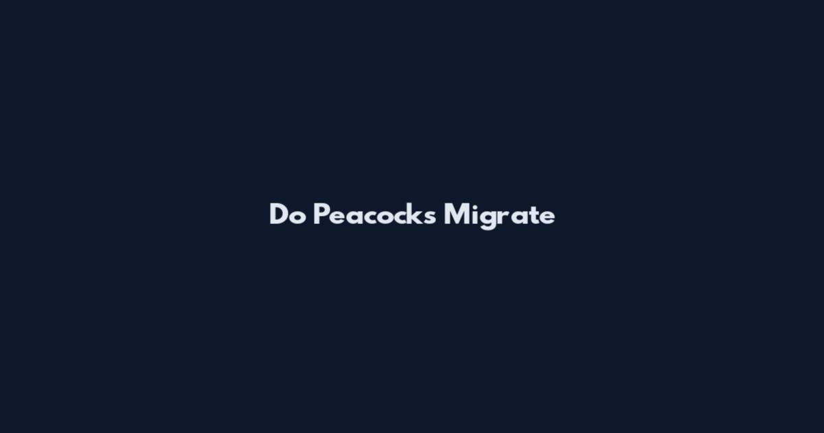 Do Peacocks Migrate