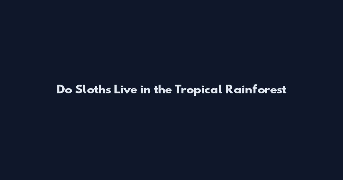 Do Sloths Live in the Tropical Rainforest