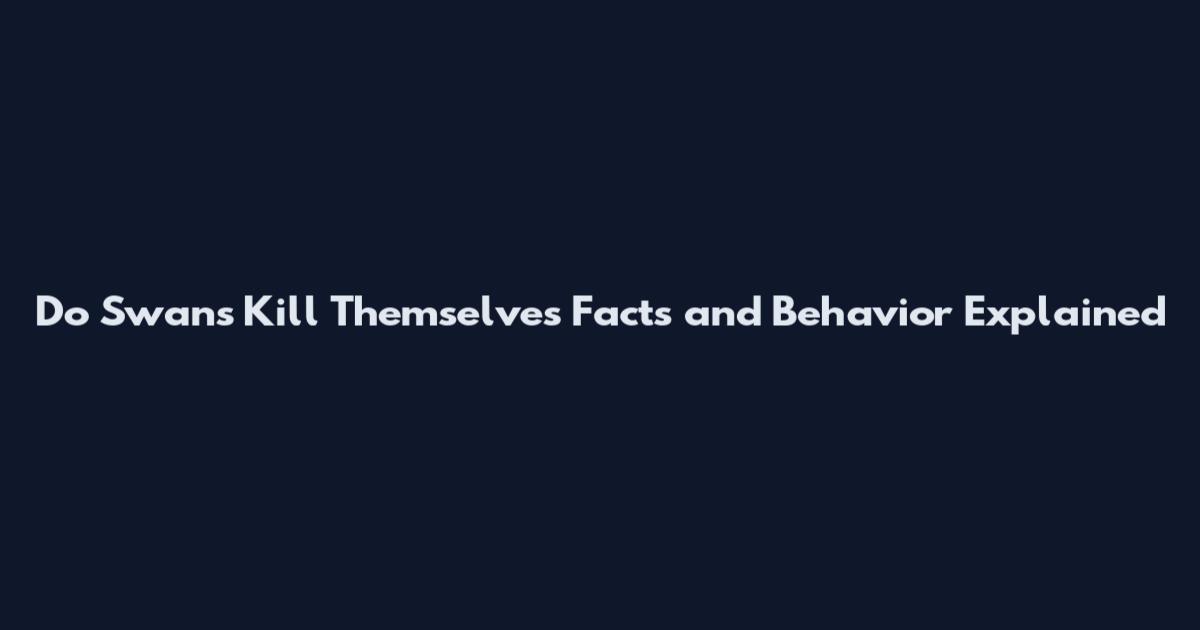 Do Swans Kill Themselves Facts and Behavior Explained