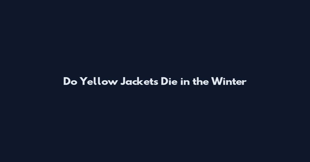 Do Yellow Jackets Die in the Winter
