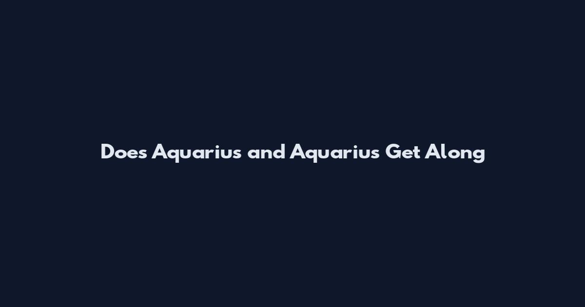 Does Aquarius and Aquarius Get Along