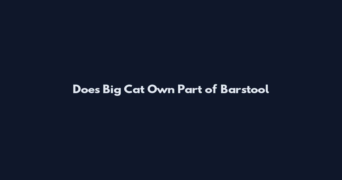 Does Big Cat Own Part of Barstool