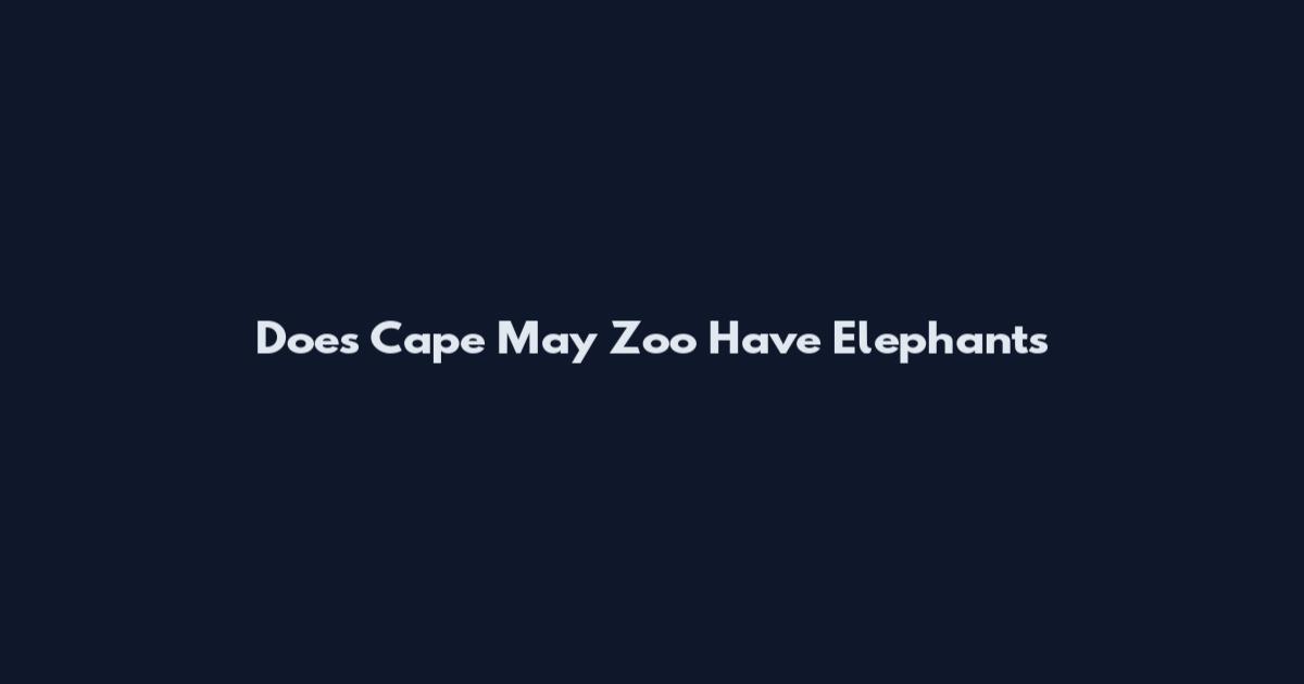 Does Cape May Zoo Have Elephants