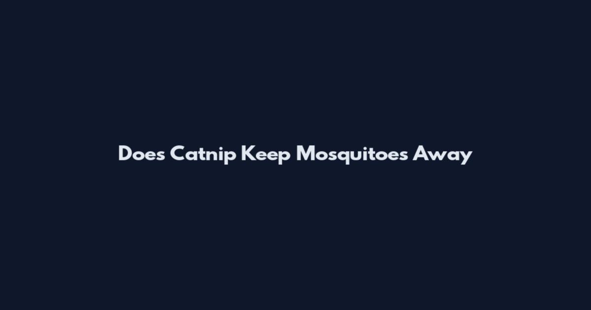 Does Catnip Keep Mosquitoes Away