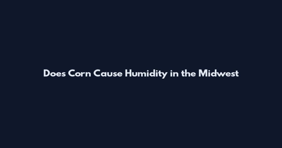 Does Corn Cause Humidity in the Midwest