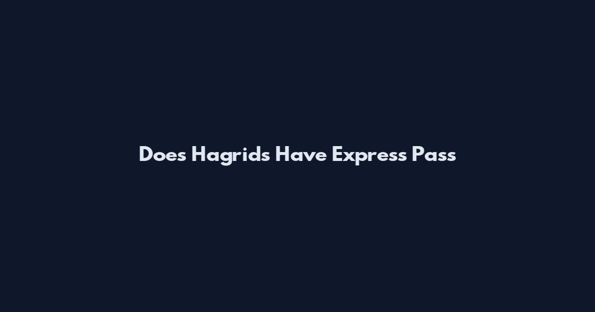 Does Hagrid's Have Express Pass