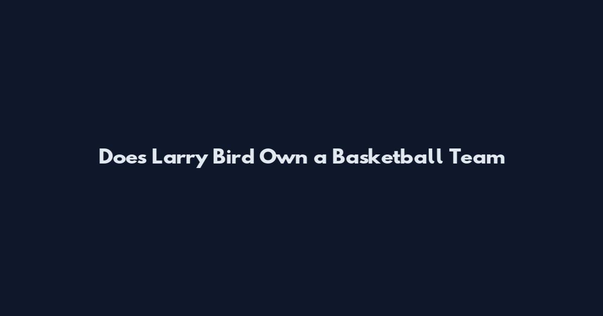 Does Larry Bird Own a Basketball Team