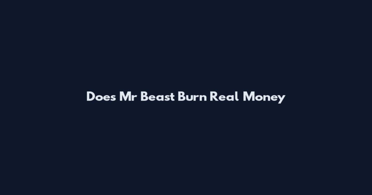 Does Mr Beast Burn Real Money