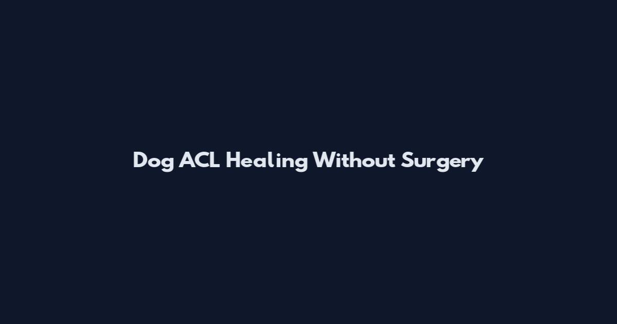 Dog ACL Healing Without Surgery
