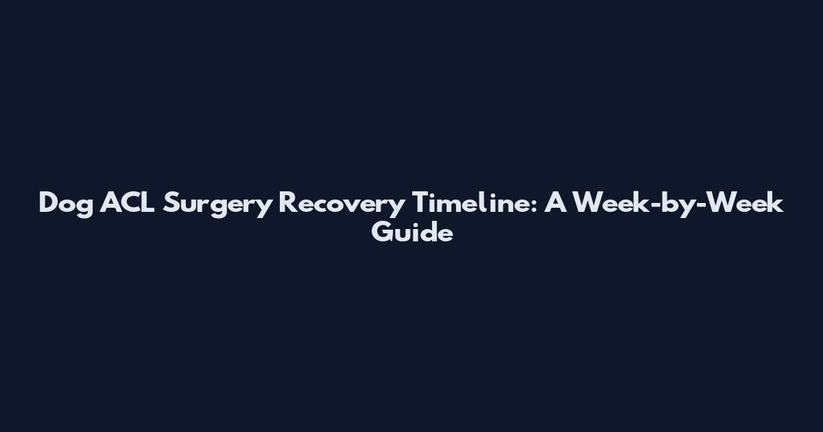 Dog ACL Surgery Recovery Timeline: A Week-by-Week Guide