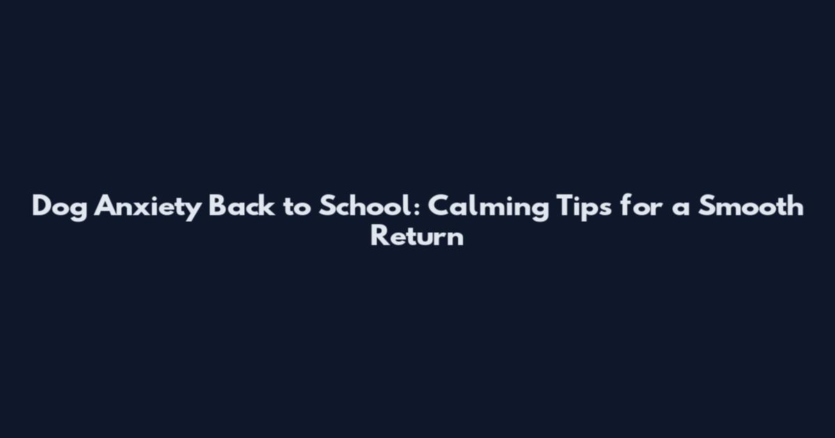 Dog Anxiety Back to School: Calming Tips for a Smooth Return