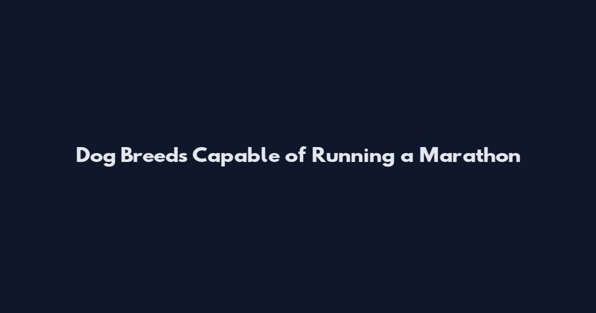 Dog Breeds Capable of Running a Marathon