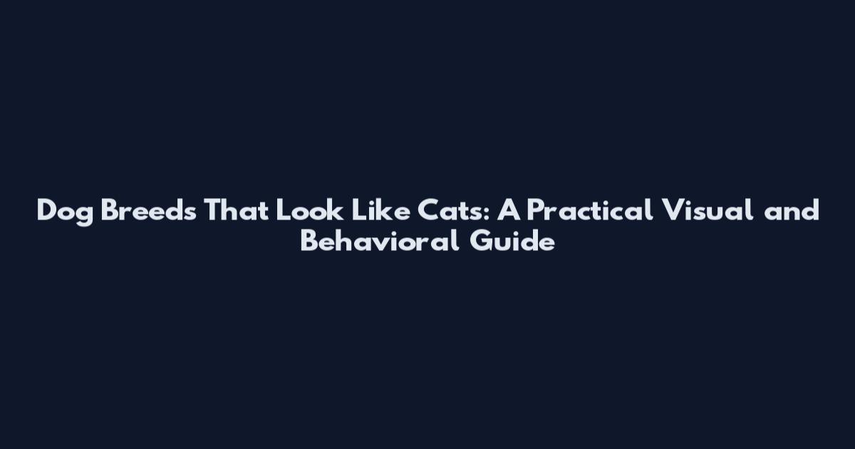 Dog Breeds That Look Like Cats: A Practical Visual and Behavioral Guide