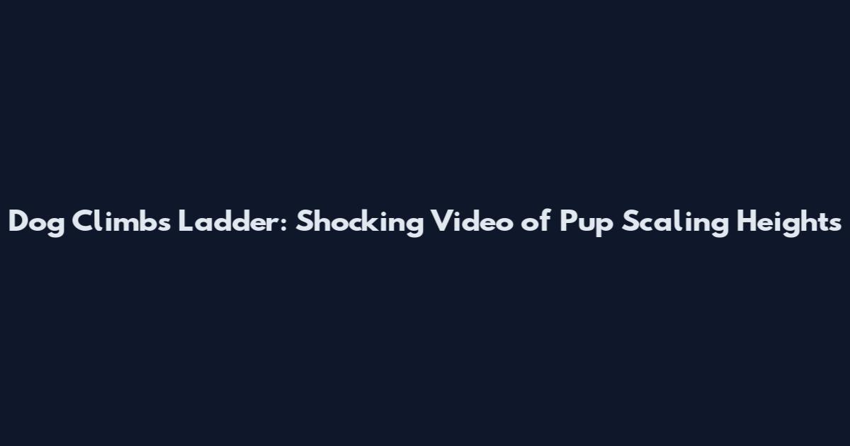 Dog Climbs Ladder: Shocking Video of Pup Scaling Heights