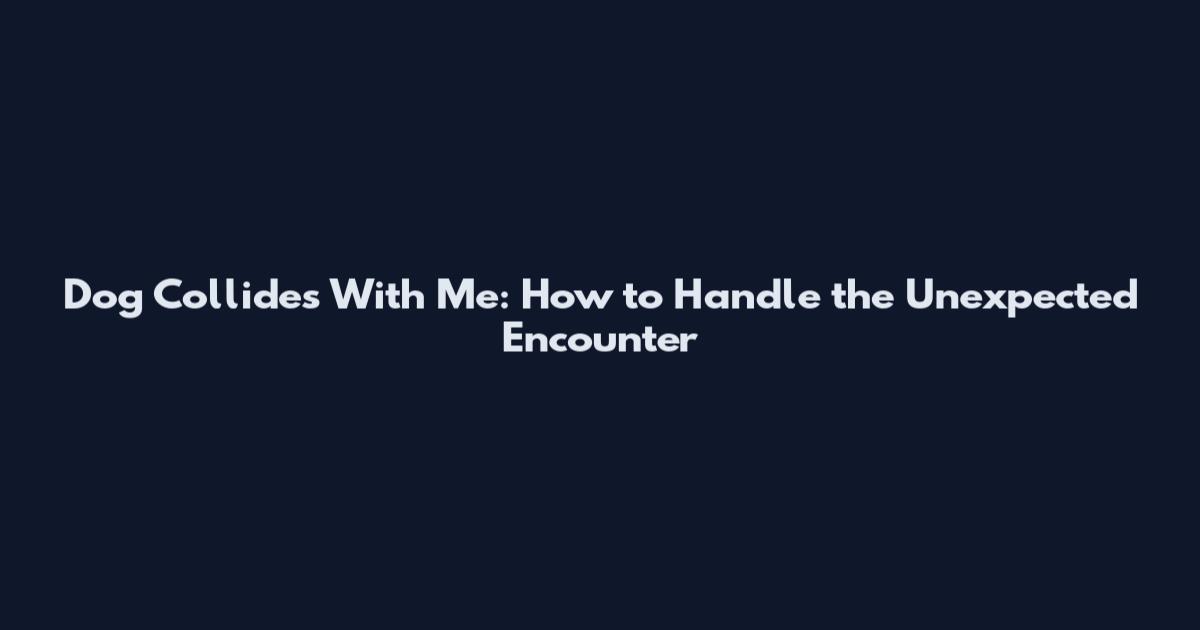 Dog Collides With Me: How to Handle the Unexpected Encounter